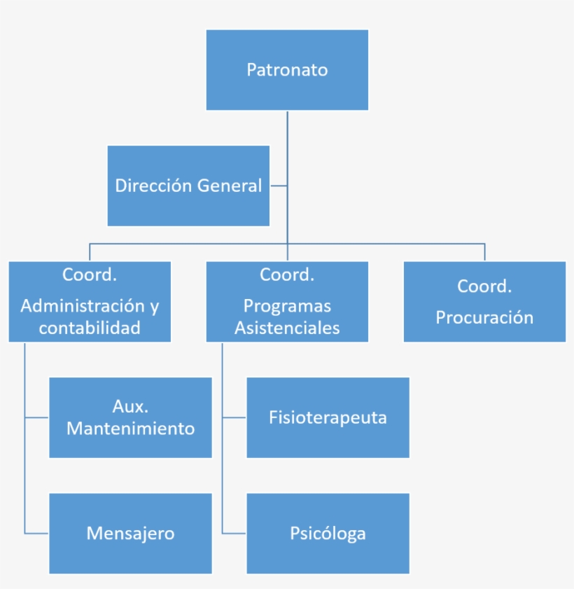 Organigrama Ong 1 - Organigrama De Una Ong, transparent png download