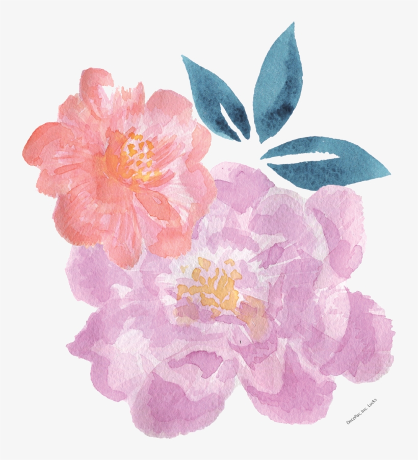 Watercolour Peony - Image - Watercolor Painting, transparent png download