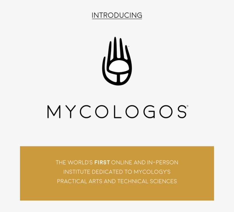 1 Dec - Crown, transparent png download