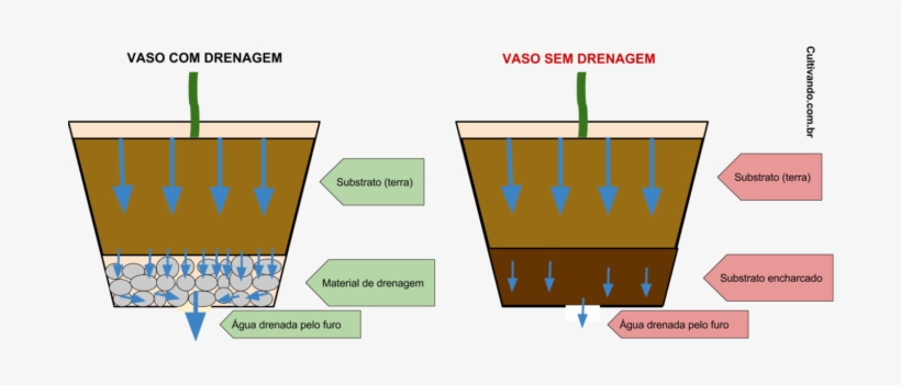 No Entanto, A Realidade É Que As Pedras Servem Para - Plantar Em Vaso Sem Furo, transparent png download