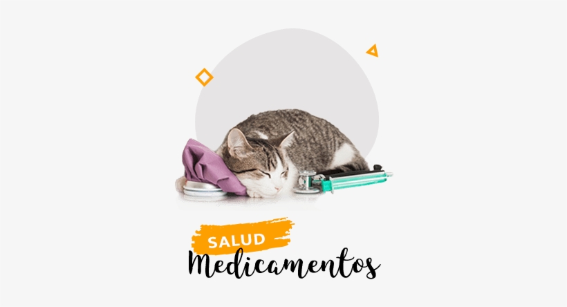 Medicamentos Para Gato - Set Of I Do Crew And Bride Pinback Button Pins, Bachelorette, transparent png download