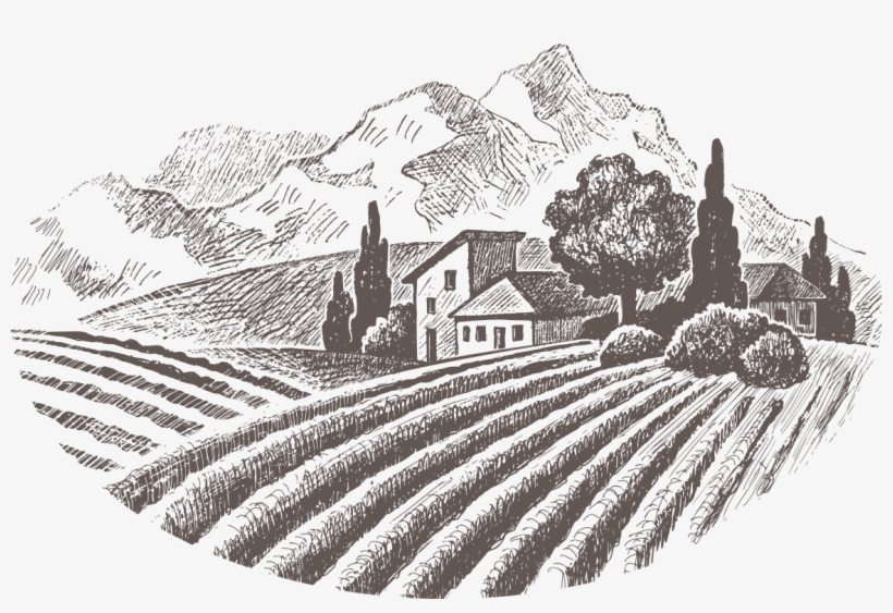 Rules Of Engagement For Bachelorette Parties - Qyanf Lavender Essence Serum Anti Allergy Acne Wrinkle, transparent png download