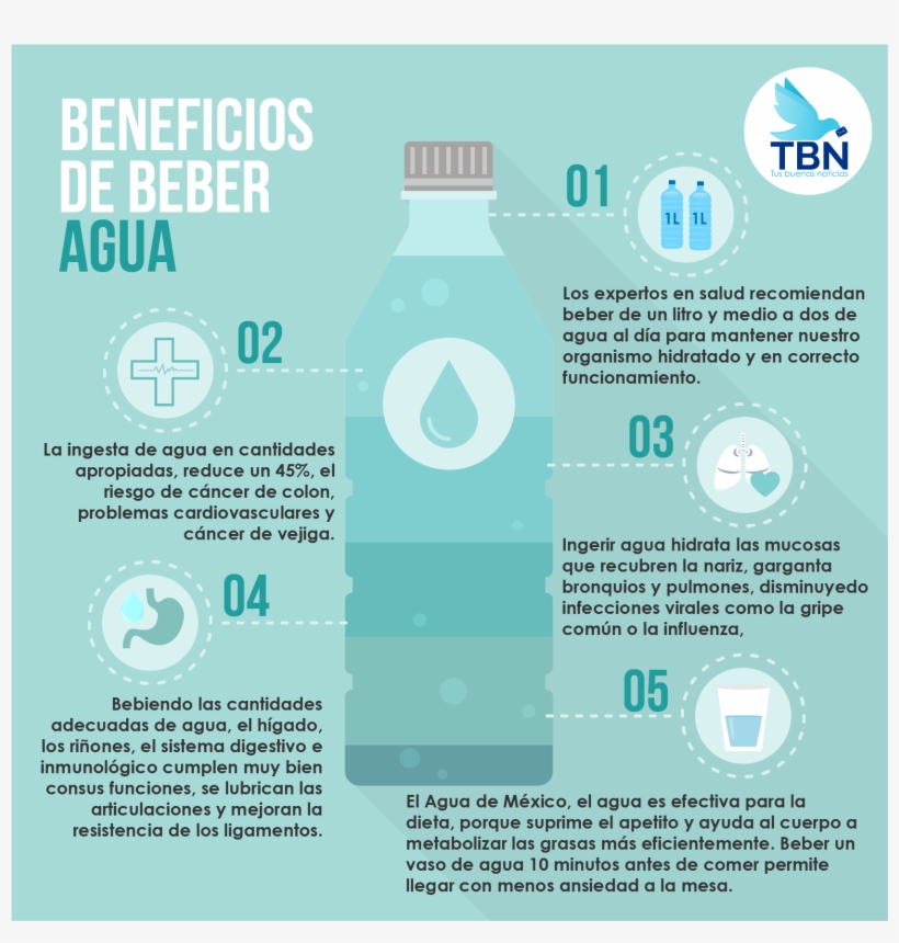 Tbn Trae Para Ti Los 10 Beneficios Que Te Otorga Beber - Water, transparent png download
