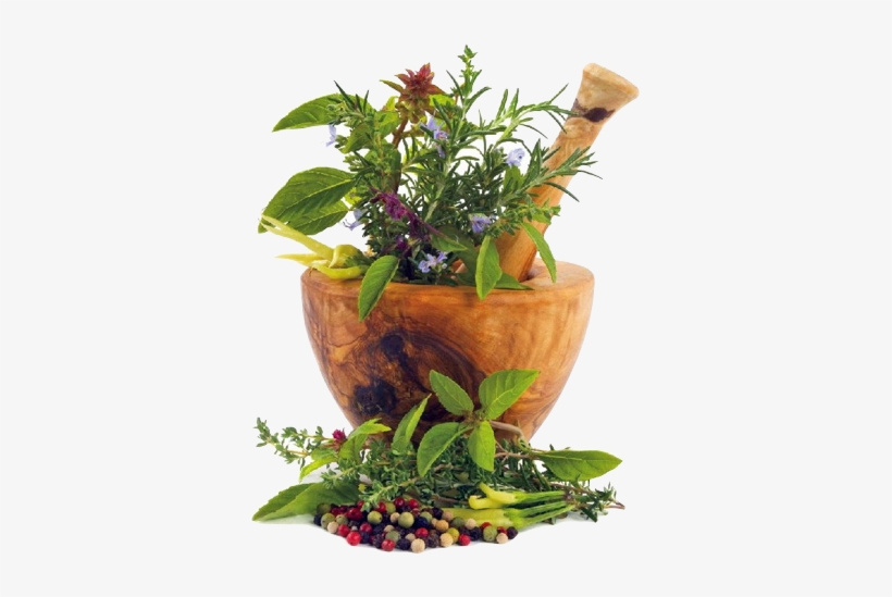 Los Medicamentos Homeopáticos Están Preparados A Partir - Natural Cures: Herbal Medicine For Natural Remedies, transparent png download
