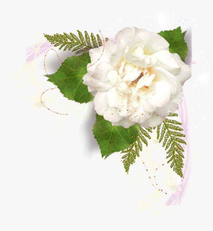 Imagenes De Palomas Blancas Con Rosas Lindo - Spring Has Sprung Backpack By Audreyerickson, transparent png download