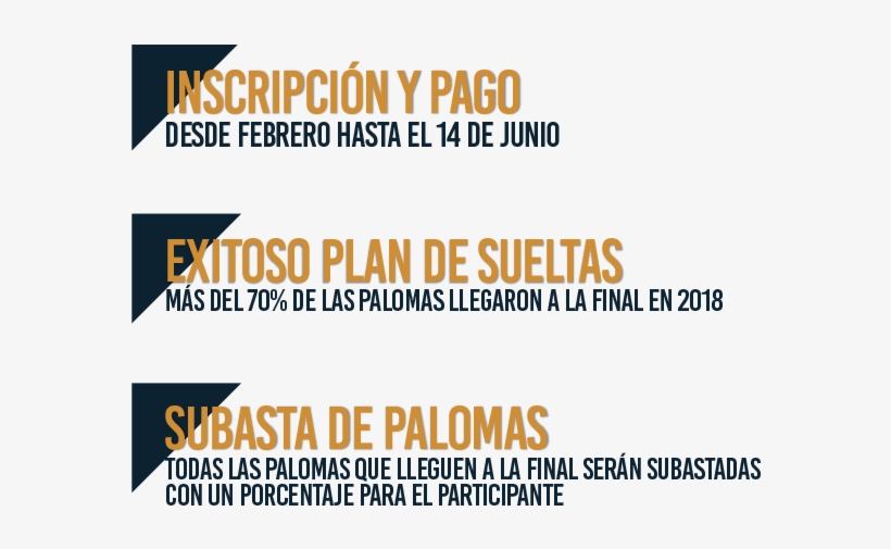 ¿listo Para Ser El Próximo Campeón - Colorfulness, transparent png download