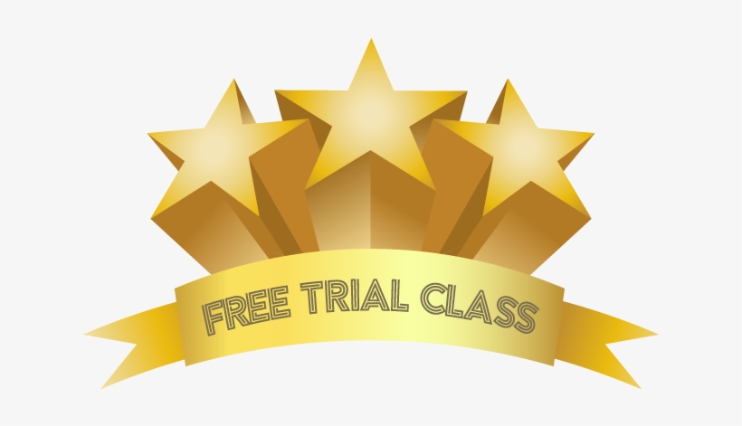 Come Experience For Yourself What It Is Like To Be - Twisted Envy You Tried Gold Stars Funny Mug, transparent png download
