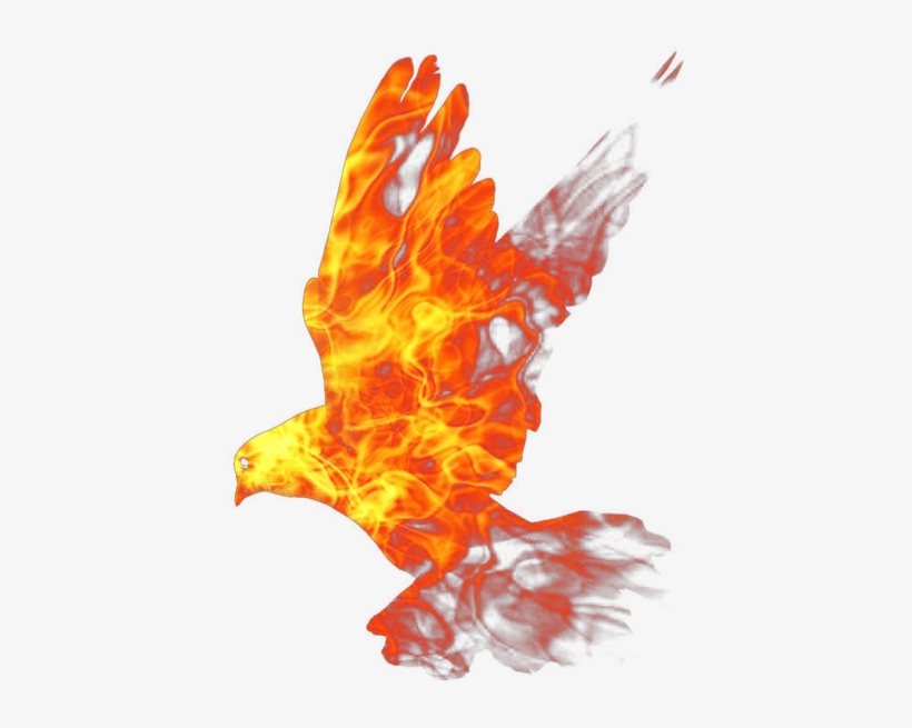 Огонь Png, Пламя, Огненная Птица, Голубь, Png Fire, - Fire, transparent png download
