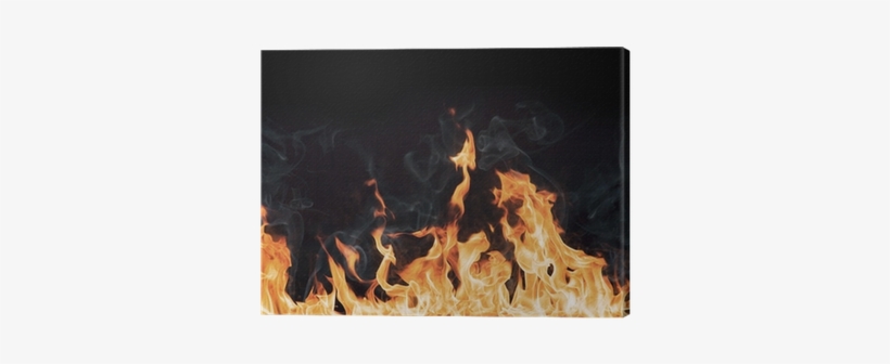 Stock Photography, transparent png download