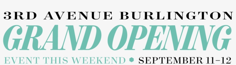 Memory Between Us, transparent png download