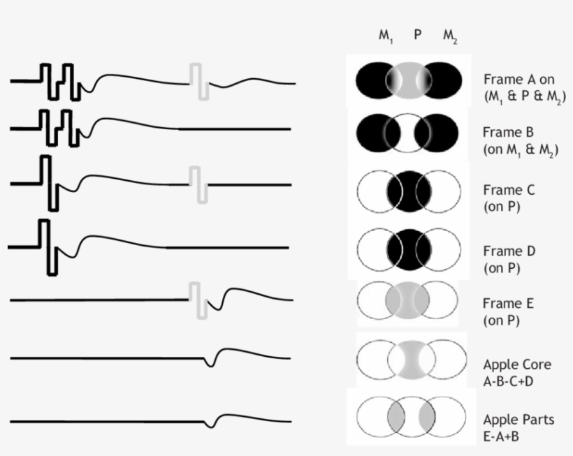 Masker Probe 5 Frame Apple Core - Drawing, transparent png download