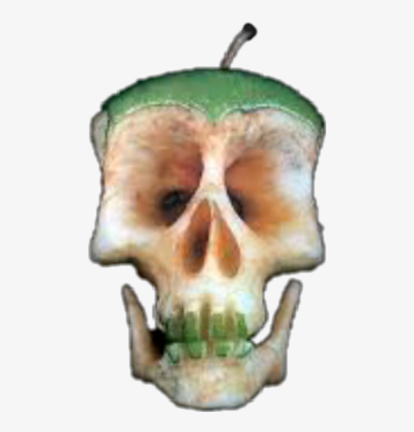 Skull, transparent png download