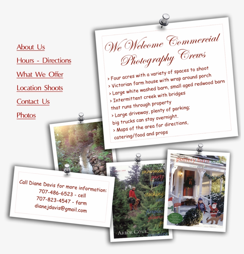 Picture Frame, transparent png download