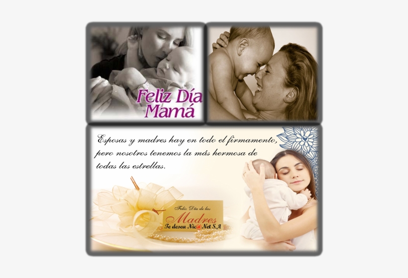 Eres La Única Persona En - New Mothers: From Prenatal Care Through The First Precious, transparent png download