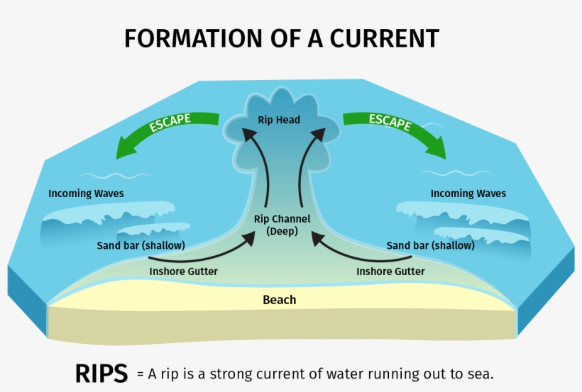 Please Follow These Tips While Visiting - Diagram, transparent png download