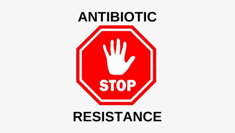 Further Information Is Available Via The Conference - Stop Sign Clipart, transparent png download