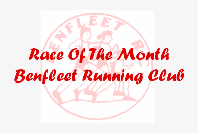 Brush, transparent png download