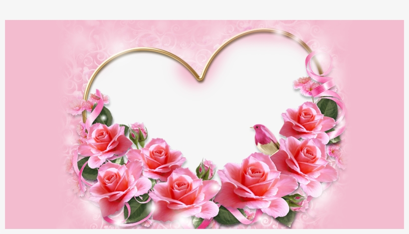 Rose Pink Flower Png, transparent png download