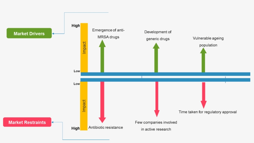 Market Segmentation Insights For The Antibiotics Market - Recombinant Dna, transparent png download