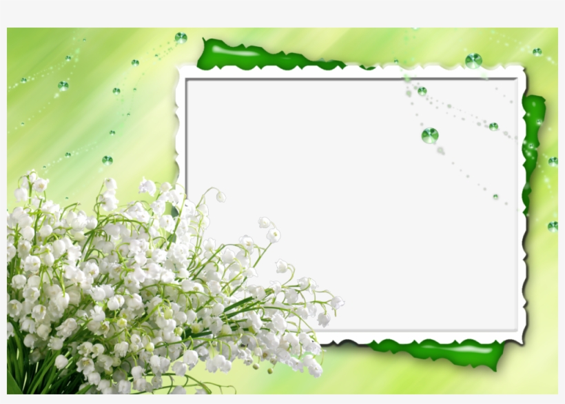 Fondos De Flores Para Regalar Para Fondo En Hd Gratis, transparent png download