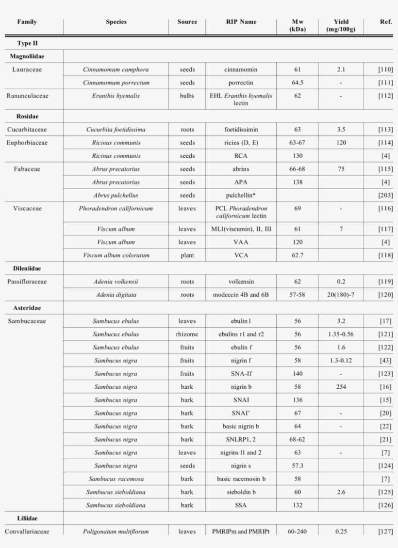 Rips From Plants, Algae, Fungi And Bacteria Classification - Plants, transparent png download