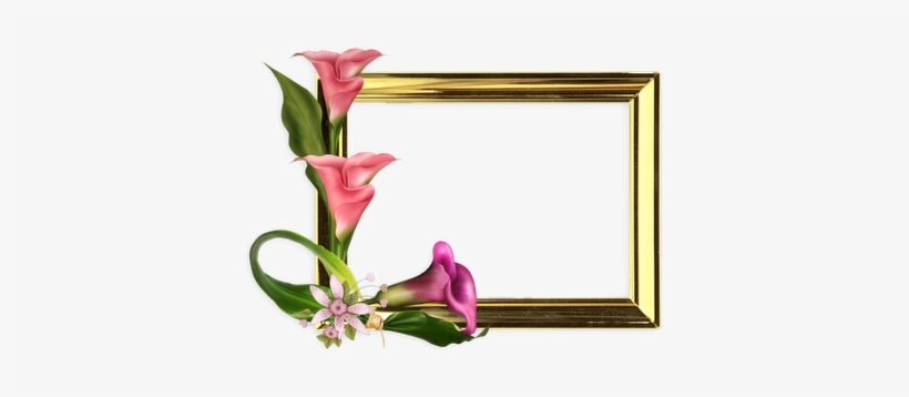 Marco De Fotos Png Con Flores - ภาพ กรอบ รูป ดอกไม้, transparent png download