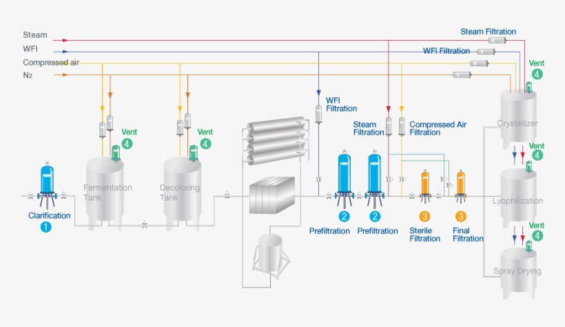 Anitibiotic - Diagram, transparent png download