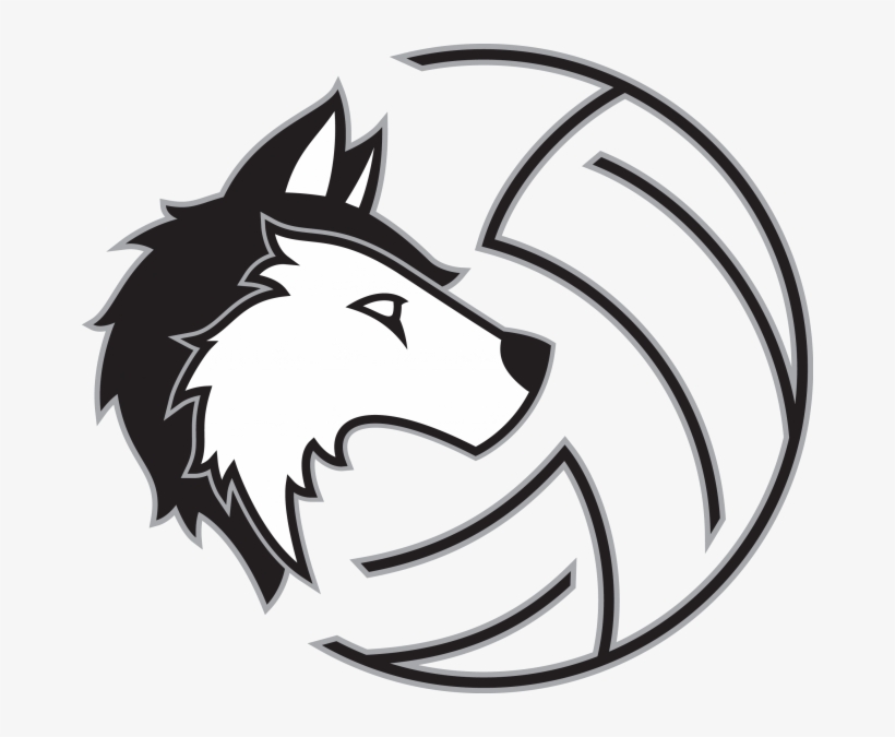 Black Ball - Png - Husky Logo, transparent png download