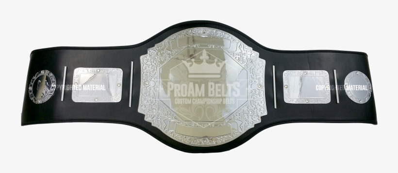Prophet Standard Chrome - Championship Belt, transparent png download
