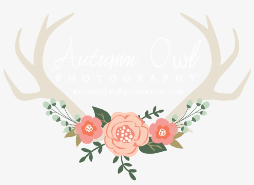 Clip Art Library Image Logo Photoshop E - Photography, transparent png download