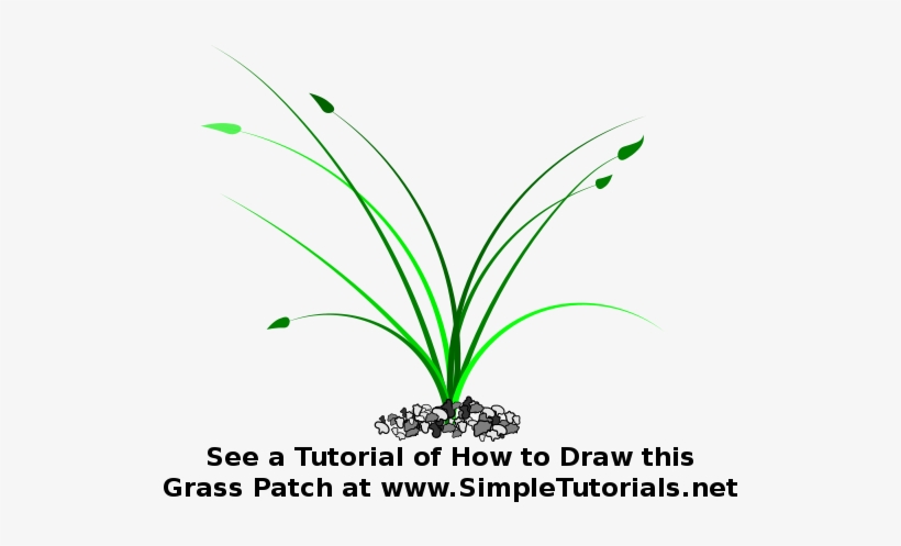 Grass Patch, Western Australia, transparent png download