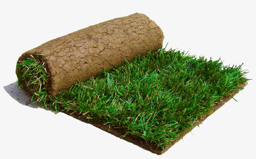 Saw A Patch Of Sod Laying On The Road - Sod Grass, transparent png download