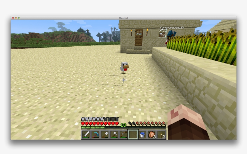 Baby Chicken - Minecraft Food, transparent png download