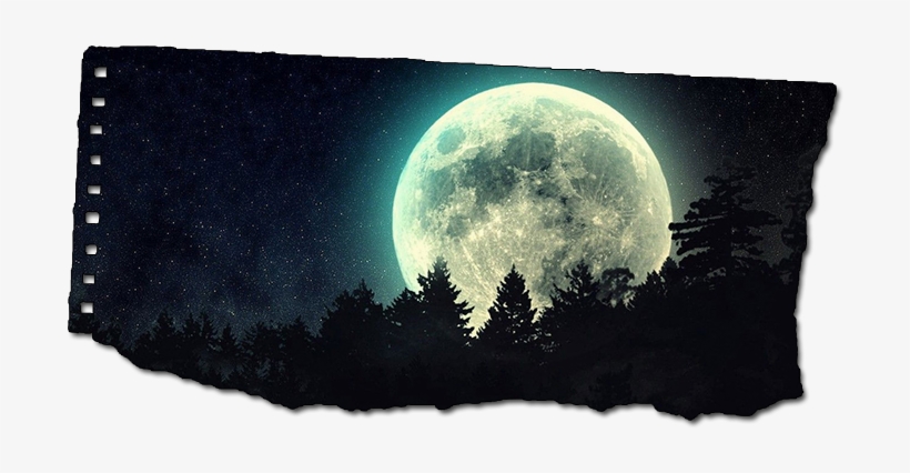 Where The Stars Shine - Weird Full Moon, transparent png download