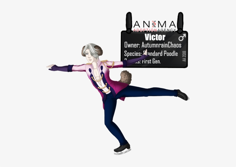 Victor Nikiforov, Autumnrainchaos - Acrobatics, transparent png download