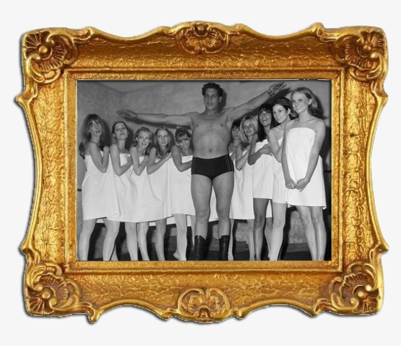But I Was Already Committed To Witches Of Eastwick - Andre The Giant Facts, transparent png download