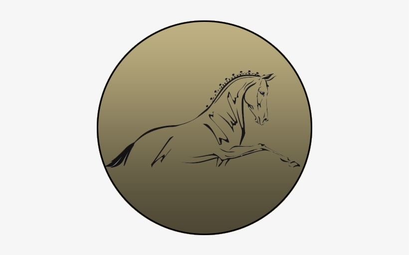 Riding Horses - Stallion, transparent png download