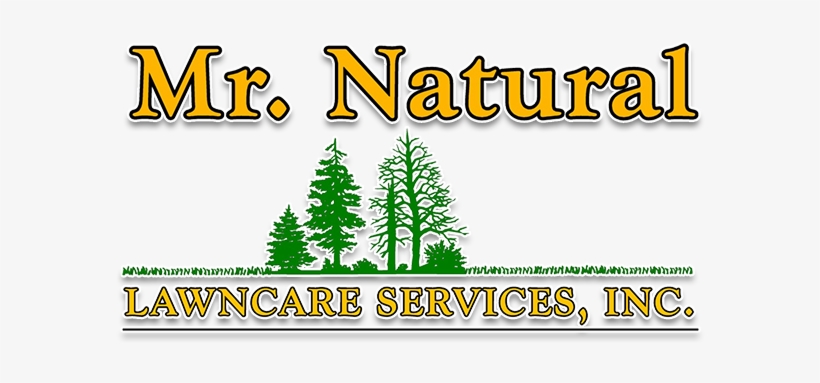 Natural Lawn Care Logo - Colorado Spruce, transparent png download