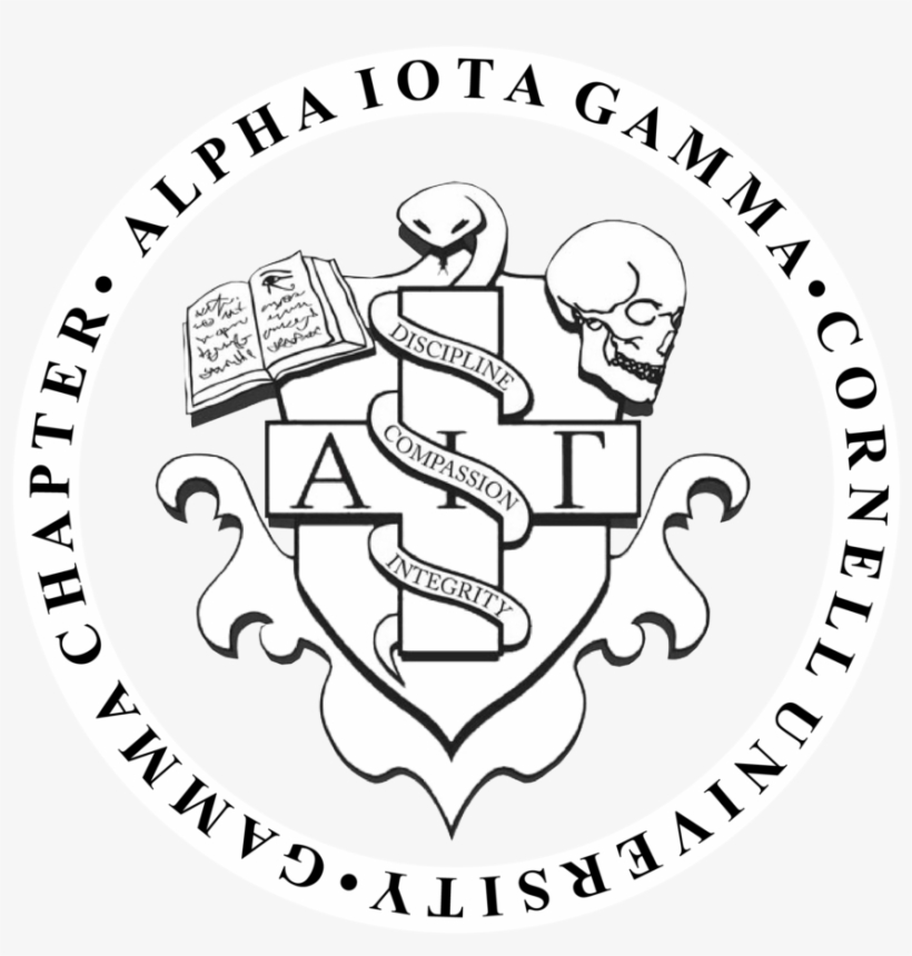 Aig Logo With Circle - Metropolitan University Of Educational Sciences, transparent png download