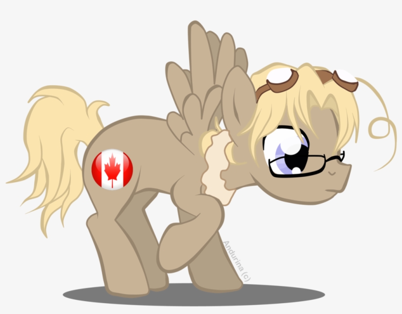 Dvixie, Canada, Glasses, Hetalia, Ponified, Safe, Solo - Canada Hetalia Pony, transparent png download