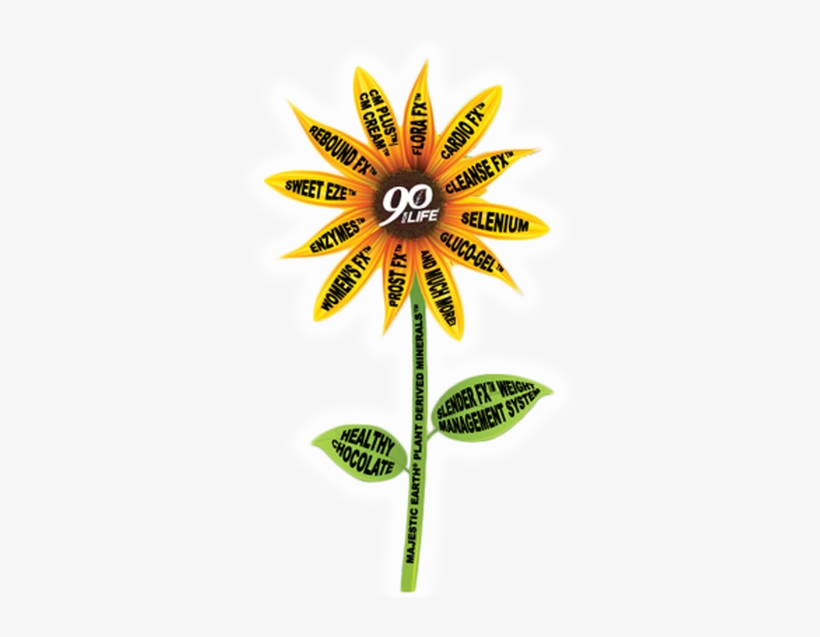 Youngevity Sunflower, transparent png download