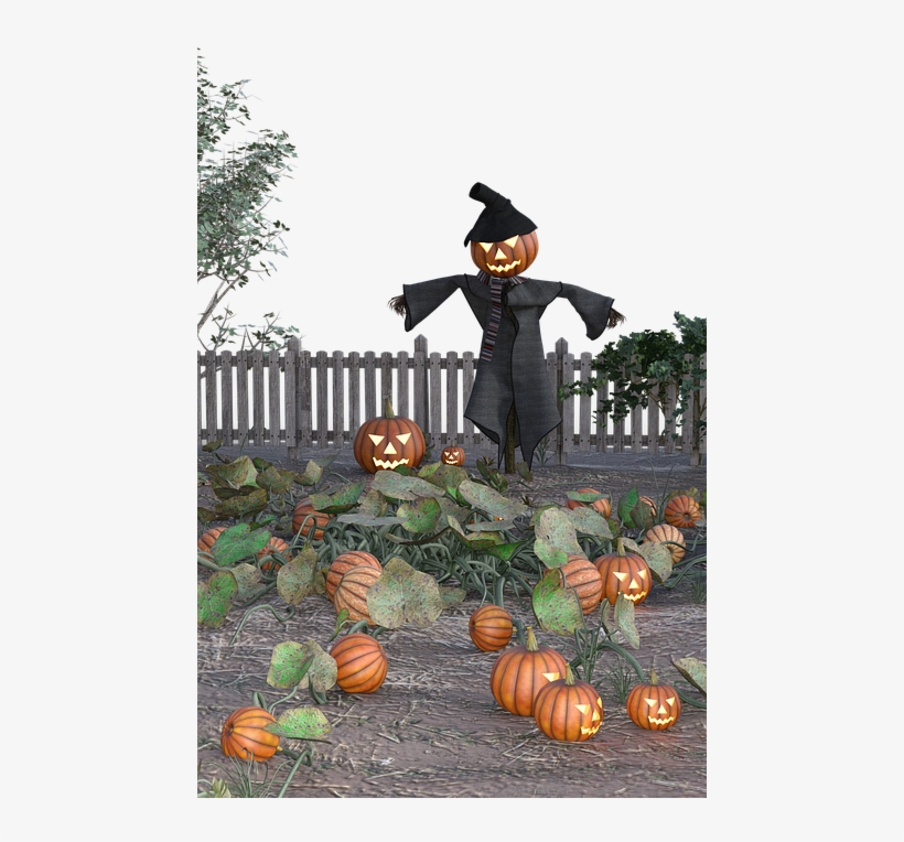Pumpkin, Halloween, Scarecrow, Creepy, Scary - Espantapajaros Con Calabaza, transparent png download