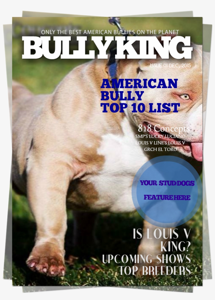 Buy Bully King Year Subscription Now - Pregadores Da Palavra De Deus, transparent png download