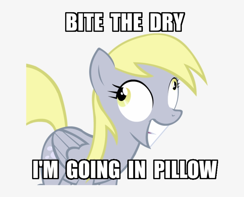Ranviet Bite The Pillow Derp Derpy Hooves Female Am One