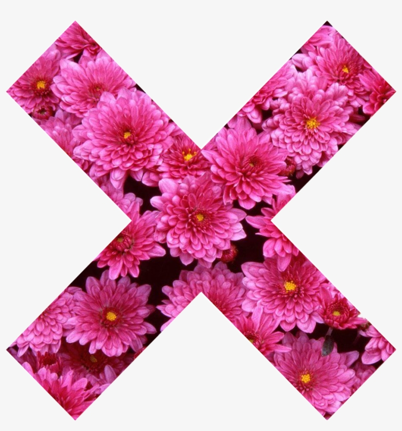 X X Cross Flower Pink Girly Pink Nature Collor Tumblr - Body-soul-n-spirit Dining Pink Blossom Love Coaster, transparent png download