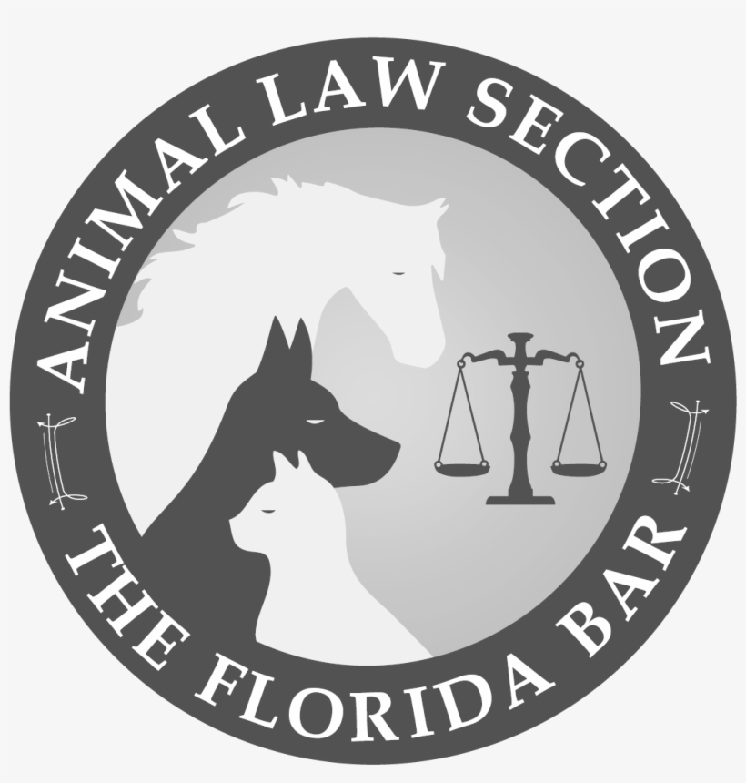 2641 Animal Law In Florida 2018 Dvd - Lights On A Zebra Crossing, transparent png download