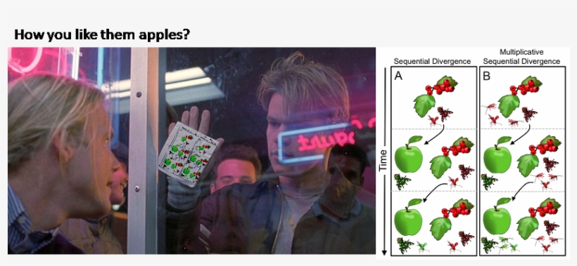 Picture - Steiner Sports - Damophs011010 - Matt Damon Signed, transparent png download