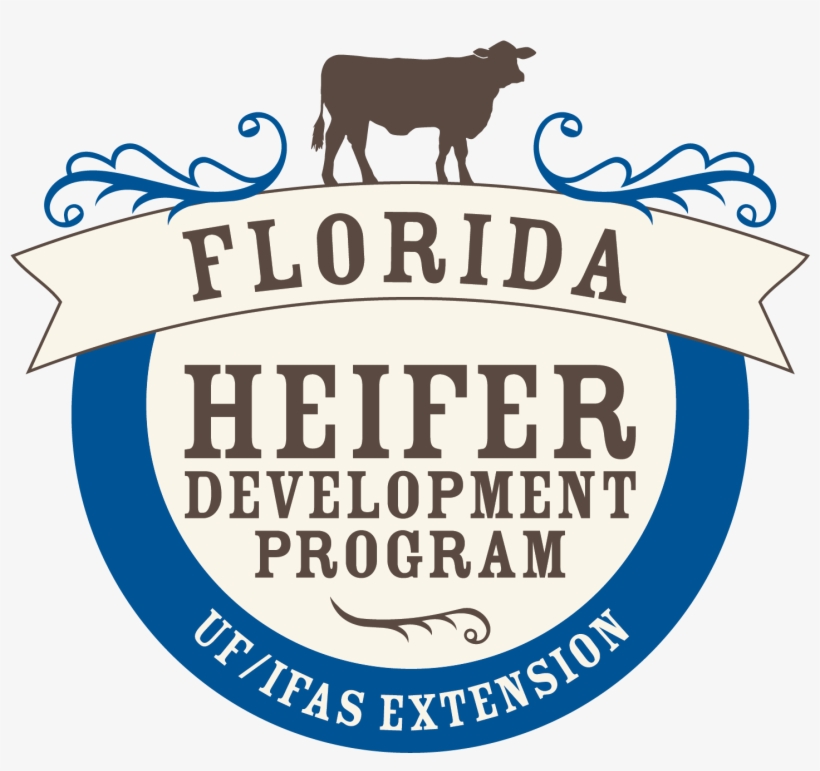 Uf/ifas Offers Heifer Development Program For Cattle - Law Unto Itself: How The Ontario Municipal Board Has, transparent png download