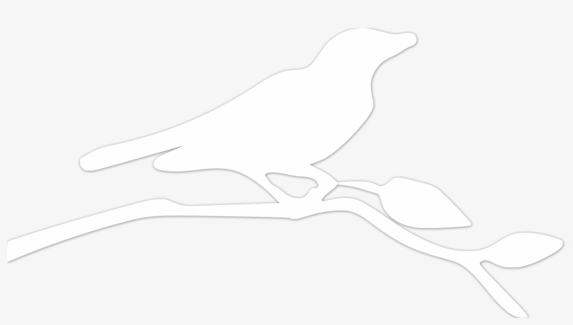 Bird - Brandon Reading Clinic, transparent png download