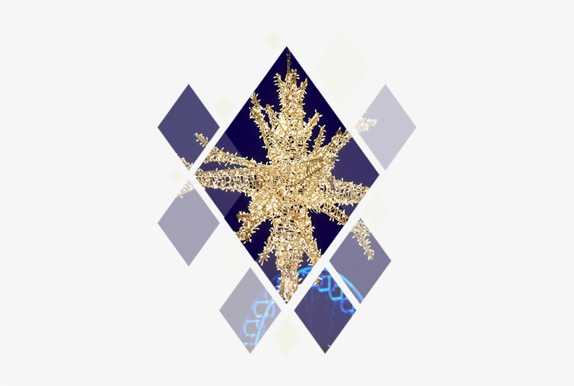 Tern Lys1 - Motif, transparent png download